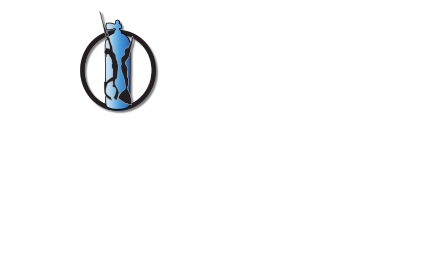 Sound Diving - Passage House - Plymouth