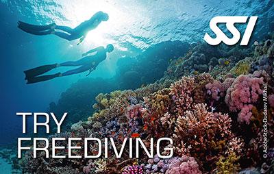 Try Freediving pool introduction
