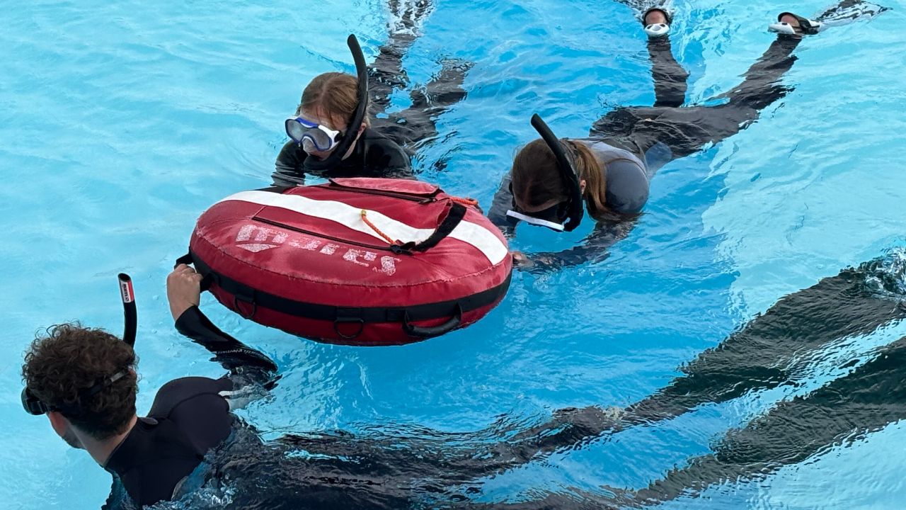 Pool training—apnea basics